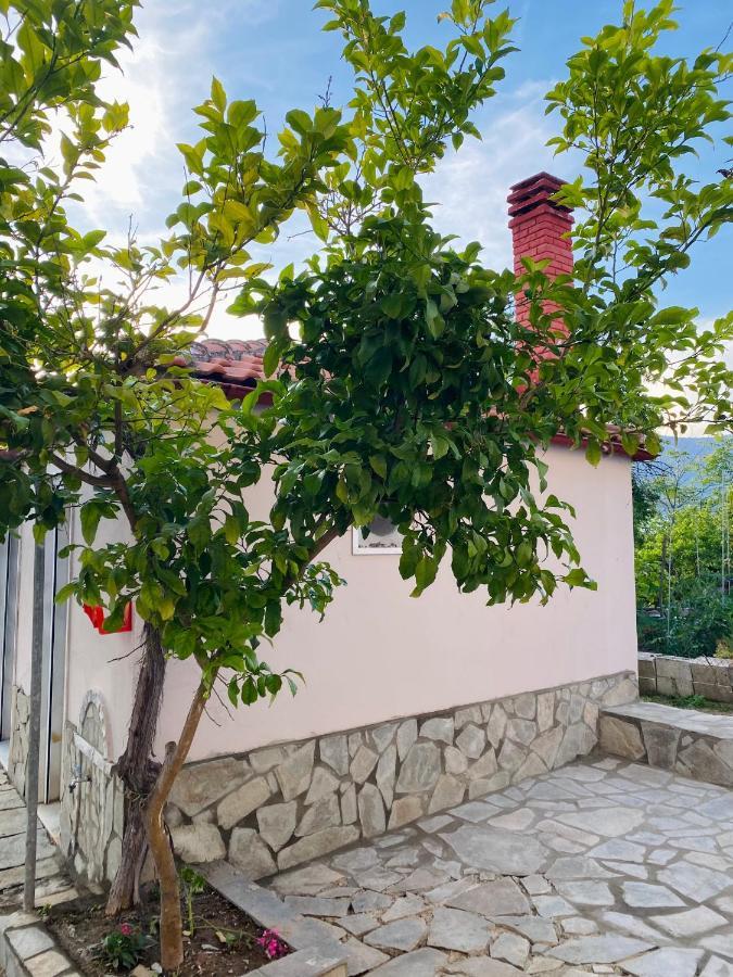 Comfort Apartments Λιμενάρια Εξωτερικό φωτογραφία
